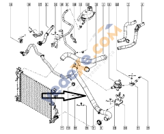 DACİA DUSTER Radyatör Çıkış Hortumu 215018446R