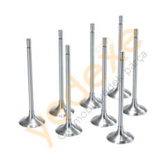 MEGANE IV DUSTER 1.6 H4M Eksoz Emme Subap Takımı 132018521R