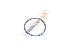 MASTER II Mazot Pompa Contası 2.5 DCİ G9U 7701048962