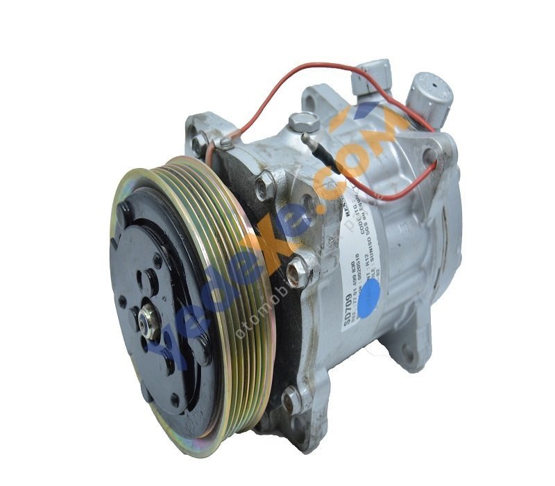 R19 Klima Kompresör 7701499830