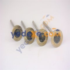 Egsoz Subap Tk 1.5 Dci K9K Tüm Motorlar