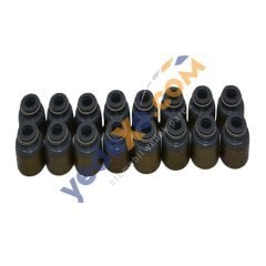 NİSSAN QASHQAİ MİCRA NOTE JUKE 1.6 16V HR16 -H4M H4J Subap Lastiği (Duman Lastiği)