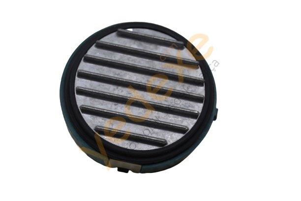 CLİO MEGANE Manifold Isı Müşürü