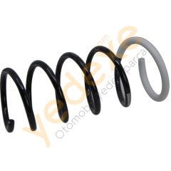 DUSTER 4X4 Arka Helezon Yayı 550202720R