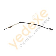 CLIO V Sıcaklık Kaptörü